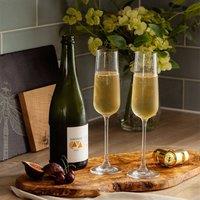 Selbrae House Bee 2 Champagne Flutes in Clear