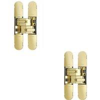 Loops 2x 100 x 22mm Adjustable Medium Duty Concealed Hinge Brass Plated Internal Door in Metallics