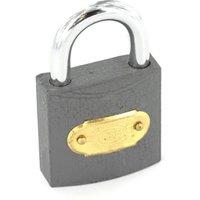Securit Tricircle Iron Padlock Brass Cylinder in Grey | Size: 38mm