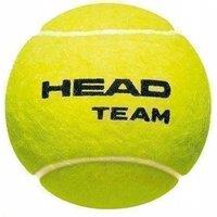 Head Team Tennis Balls (Pack of 12) in Yellow