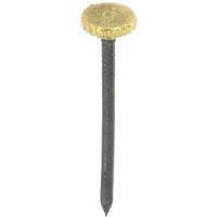 Securpak Brass Headed Picture Pins (Pack of 10) in Silver