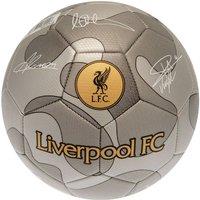 Liverpool FC Camo Football in Silver