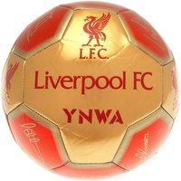 Liverpool FC Signature 26 Panel Football in Gold