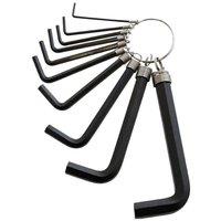 Amtech Hex Key Set & Keyring 10pk