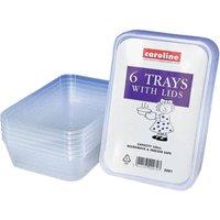 Caroline Plastic Tray with Lid 500ml 6pk 2001