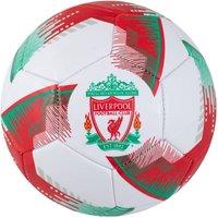 Liverpool FC Blitz Football