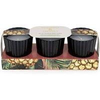 Candlelight Set of 3 Mini Votive Candles Pineapple & Coconut in Black