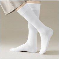 Women's 5 Pack Breathable Knee High Socks in White