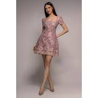 Goddiva Women's Scallop Edge Corset Back Structured Lace Mini Dress in Pink | Size: 12