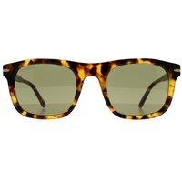 Serengeti Men's Square Shiny Havana Mineral Polarized 555nm Photochromic Charlton in Brown