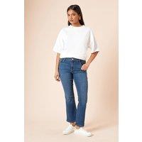 Dorothy Perkins Women's Petite Comfort Stretch Bootcut Jeans in Mid Wash | Size: 16