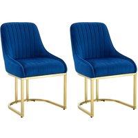 Hygrad Built to Survive Set Of 2 Velvet Dining Chairs Luxury Padded Dining Room Chairs Armless Gold Legs in Blue