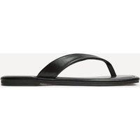Linzi Women's Element Black Toe Post Flat Sandals | Size: 8-Standard Fit
