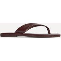 Linzi Women's Element Burgundy Toe Post Flat Sandals | Size: 7-Standard Fit