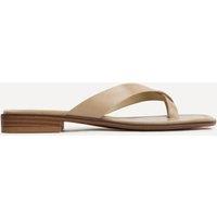 Linzi Women's Kimmi Taupe Faux Leather Flat Sandals | Size: 8-Standard Fit