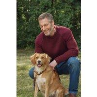 WoolOvers Men's Pure Wool Countryman Jumper in Burgundy | Size: Medium