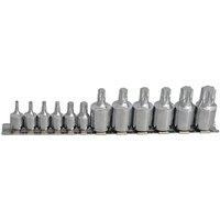 Bluespot Tools Torx Socket Set Of 12 1/4 & 3/8In Square Drive in Silver