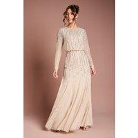 Coast Women's Linear Sequin Embellished Long Sleeve Maxi Dress in Champagne | Size: 14
