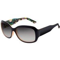 Ted Baker Women's Charlotte Sunglasses in Black