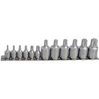 Bluespot Tools Mixed Drive Torx Socket Set, 12 Piece