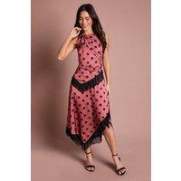 Coast Women's Halter Neck Polka Dot Fringe Satin Midi Dress in Pink | Size: 12