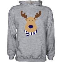 Tottenham Hotspur FC Junior Tottenham Rudolph Supporters Hoody in Grey | Size: 5-6 Years