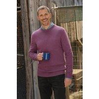 WoolOvers Men's 100% Lambswool Crew Neck Jumper in Plum | Size: 3XL