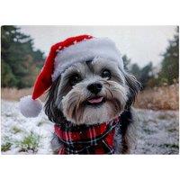 Warren Reed - Designer Christmas Lhasa Apso Glass Chopping Board