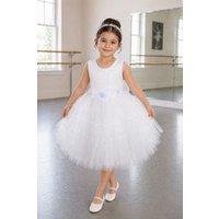 Lilly + Bo Girl's Juniper in Ivory White Party or Flower Girl Dress in Natural | Size: 3-6 m