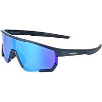 Breed Men's Vega Polarized Sunglasses in Blue