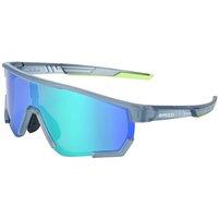 Breed Men's Vega Polarized Sunglasses in Grey