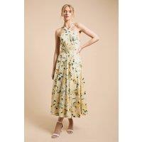 Oasis Women's Lemon Floral Halter Cotton Poplin Midi Dress | Size: 12