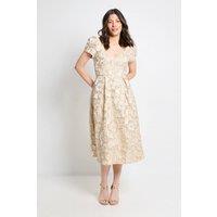 Wallis Women's Jacquard Seam Detail Midi Dress in Blush | Size: 14