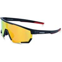 Breed Men's Vega Polarized Sunglasses in True Black