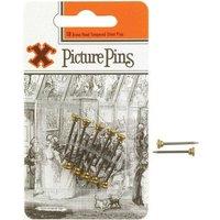 X Brass Head Picture Pins 10pk