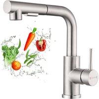 Dayone Brushed Kitchen Tap with Pull Out Spray & Two Spray Functions in Silver