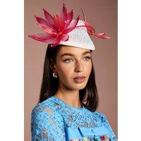 Coast Women's Lisa Tan Flower & Quill Fascinator in Ivory