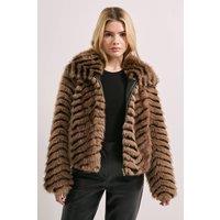 Dorothy Perkins Women's Faux Fur Jacket in Brown | Size: 8