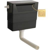 Balterley Universal Dual Flush with Square Flush Plate - Brushed Brass/Black in Black