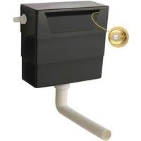 Balterley Universal Dual Flush & Traditional Push Button - Brushed Brass/Black in Black