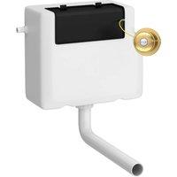 Balterley Universal Dual Flush & Traditional Push Button - Brushed Brass/White in White