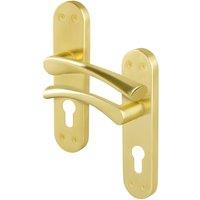 AFIT Satin Brass Twist Door Handles Euro Escutcheon Internal 1 Pair in Gold | Size: 150mm x 150mm