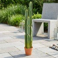 Garden Greatness Artificial Potted Cereus Cactus in Green