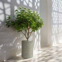 Wyld and Coco Grey Round Plant Pot Concrete Effect MgO Indoor and Sheltered Outdoor
