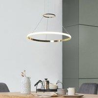 Wyld and Coco Gold Ring Pendant Lamp with Integrated LED Rings