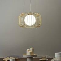 Wyld and Coco 1-Light Gold Cage Pendant Light - Industrial Iron Ceiling Lamp