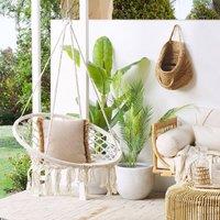 Wyld and Coco Swing Chairs