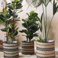 Wyld and Coco Seagrass Plant Basket Set of 3 - Lined Indoor Planters Natural Finish