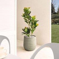 Wyld and Coco 39cm Green Fibre Clay Round Planter with Embossed Pattern Durable