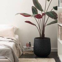 Wyld and Coco Black Fibre Clay Round Planter 41 x 41 x 43 cm